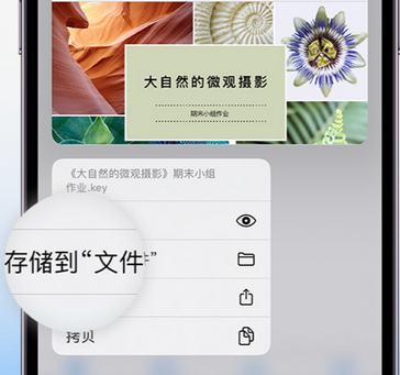 余杭apple维修中心分享iPhone文件应用中存储和找到下载文件