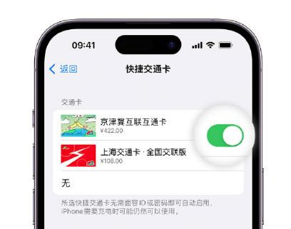 余杭apple维修点分享iPhone上更换Apple Pay快捷交通卡手绘卡面 