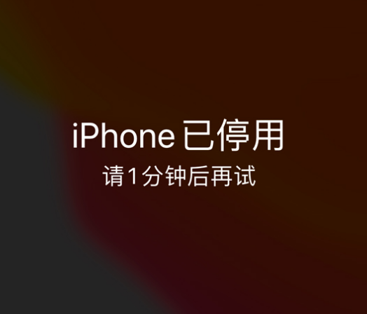 余杭苹果手机维修分享:iPhone 显示“不可用”或“已停用”怎么办？还能保留数据吗？ 