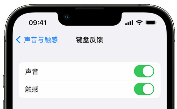 余杭苹果手机维修分享iPhone 14触感键盘使用方法 