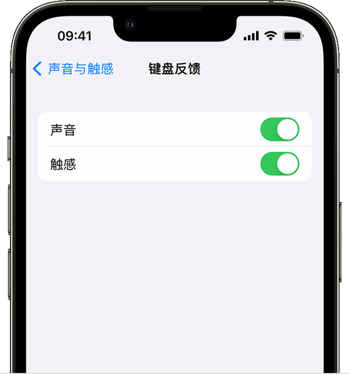 余杭苹果14维修店分享如何在 iPhone 14 机型中使用触感键盘 