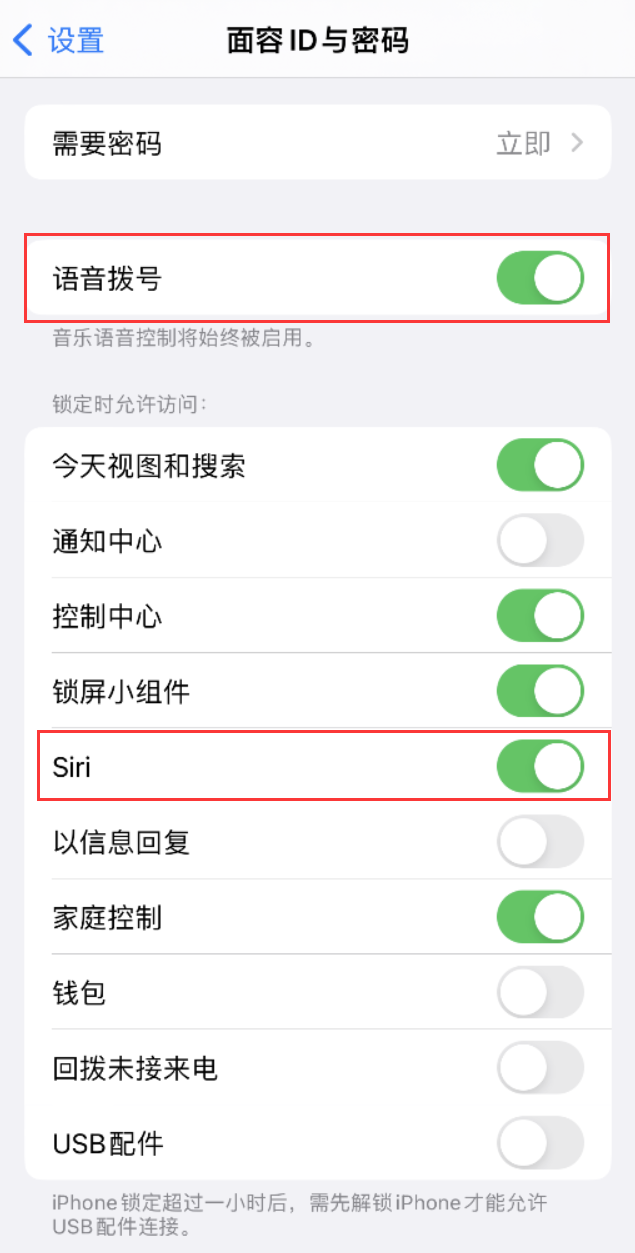 余杭苹果维修网点分享不解锁 iPhone 的情况下通过 Siri 拨打电话的方法 