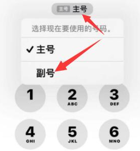 余杭苹果14维修店分享iPhone 14 Pro Max使用副卡打电话的方法 