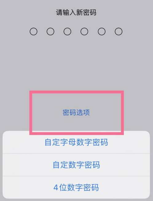 余杭苹果14维修分享iPhone 14plus设置密码的方法 