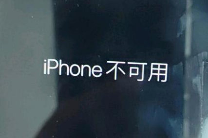 余杭苹果服务网点分享锁屏界面显示“iPhone 不可用”如何解决 