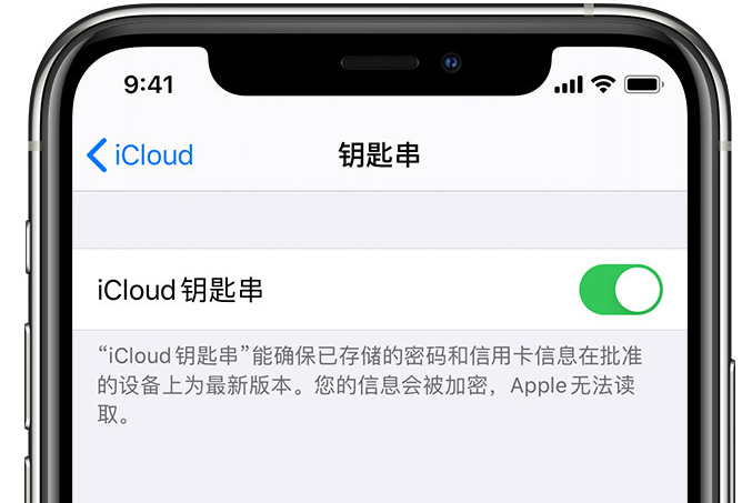 余杭苹果手机维修分享在 iPhone 上开启 iCloud 钥匙串之后会储存哪些信息 