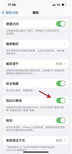 余杭苹果手机维修分享iPhone手机如何设置摇一摇删除文字 